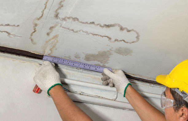 Reliable Mold Remediation contractor in East Bend, NC by Water Damage Irwin